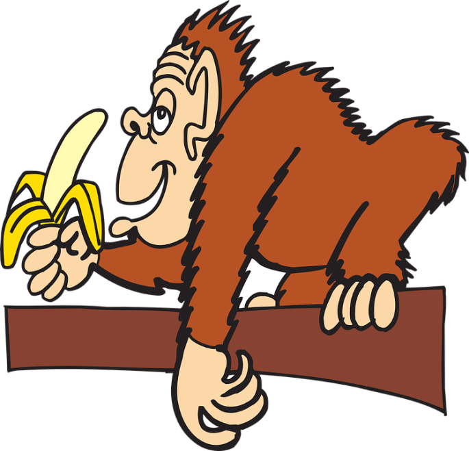 ape-44564_960_720.png