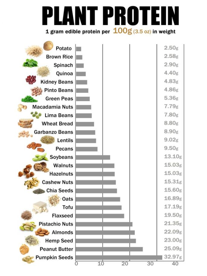 protein