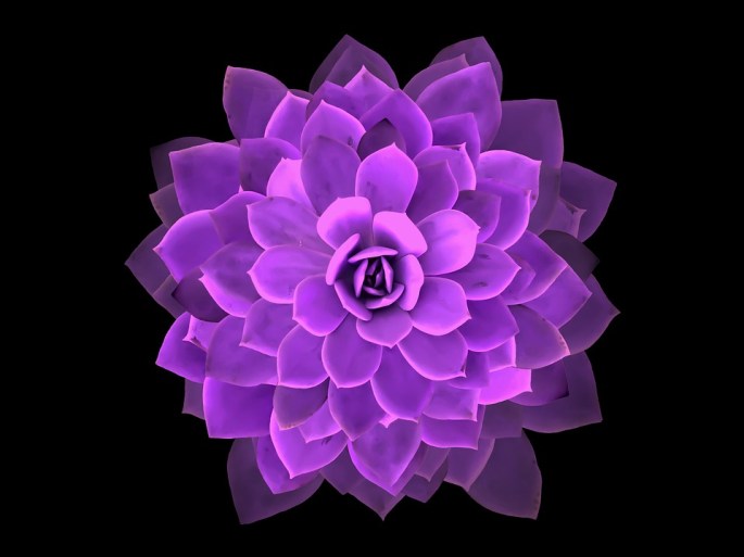 mandala-3396997_960_720