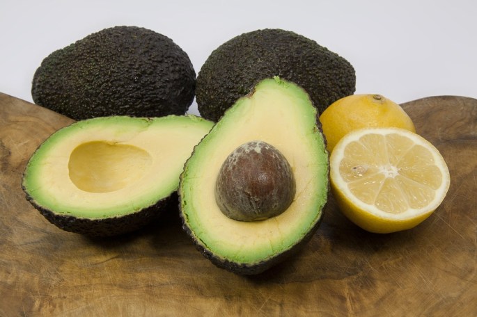avocado-1276875_960_720