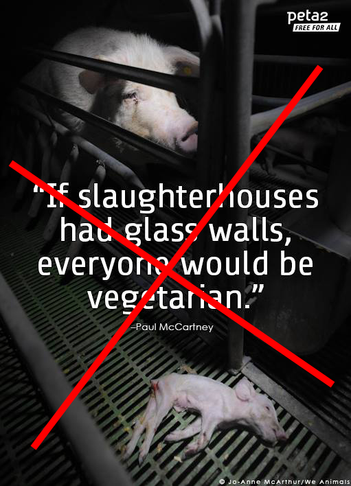 peta