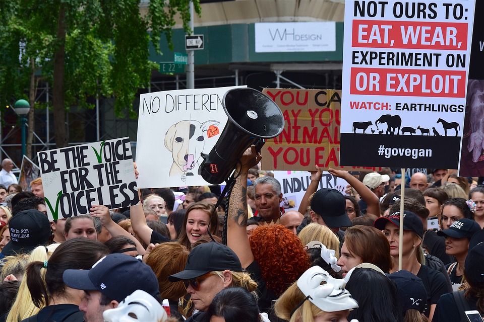 vegan rally