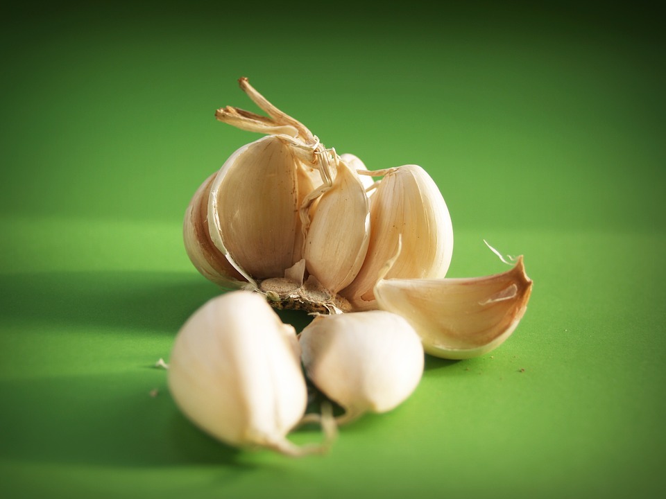 garlic-1549453_960_720