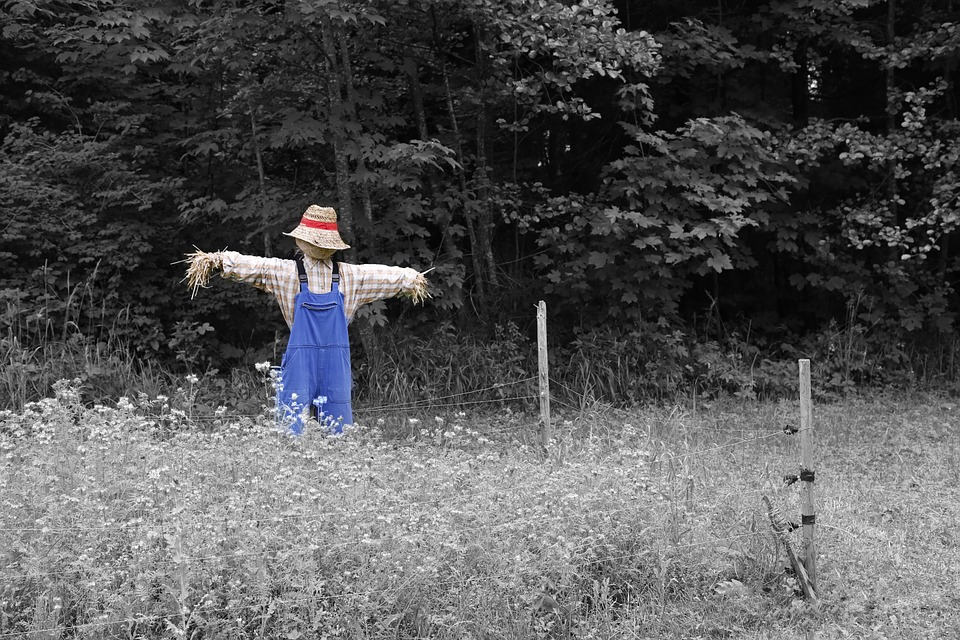 scarecrow-670720_960_720