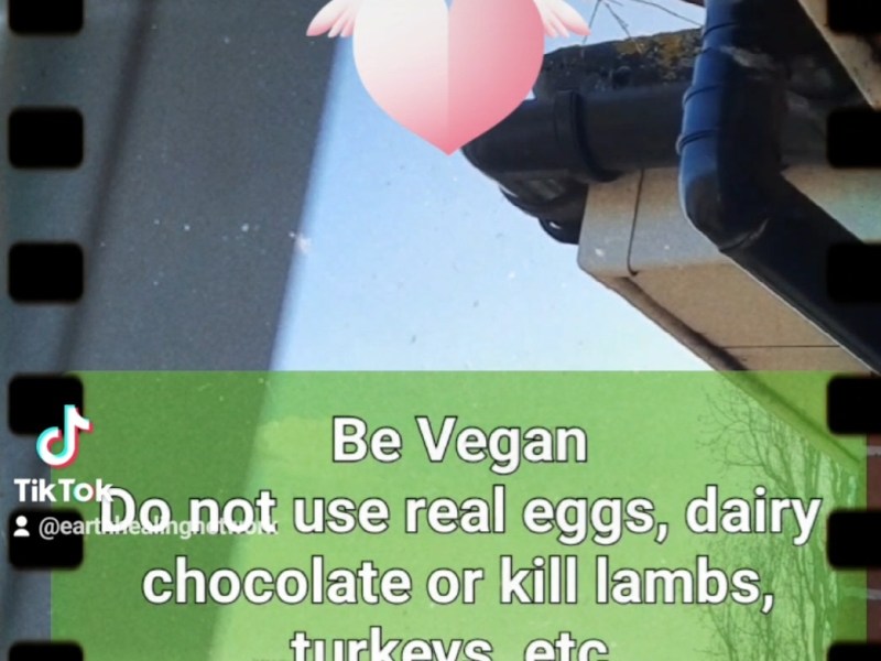 The Vegan Symbolism of Easter&nbsp;Eggs