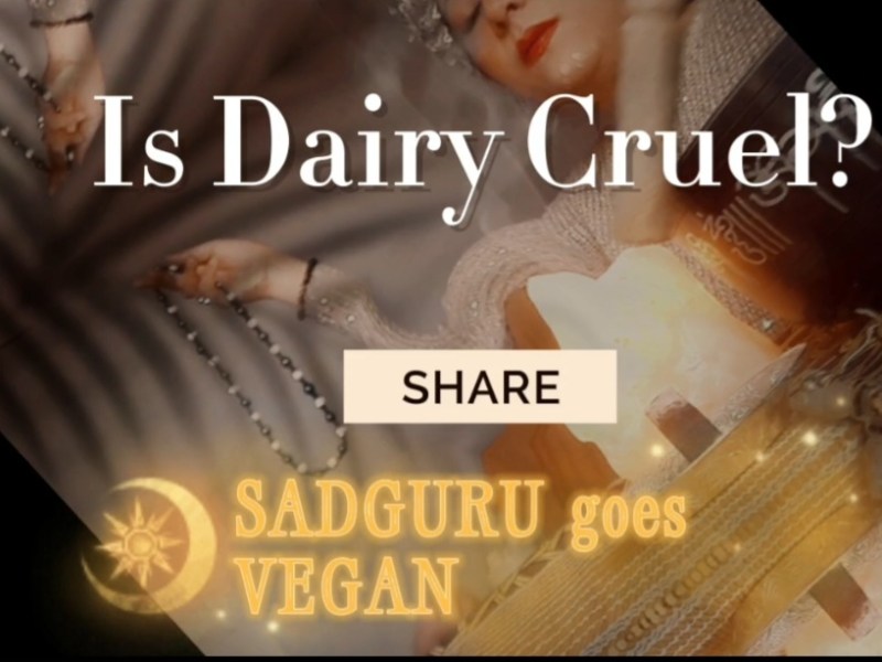 Sadguru Goes Vegan: A Hilarious and Educational Spoof on&nbsp;Dairy
