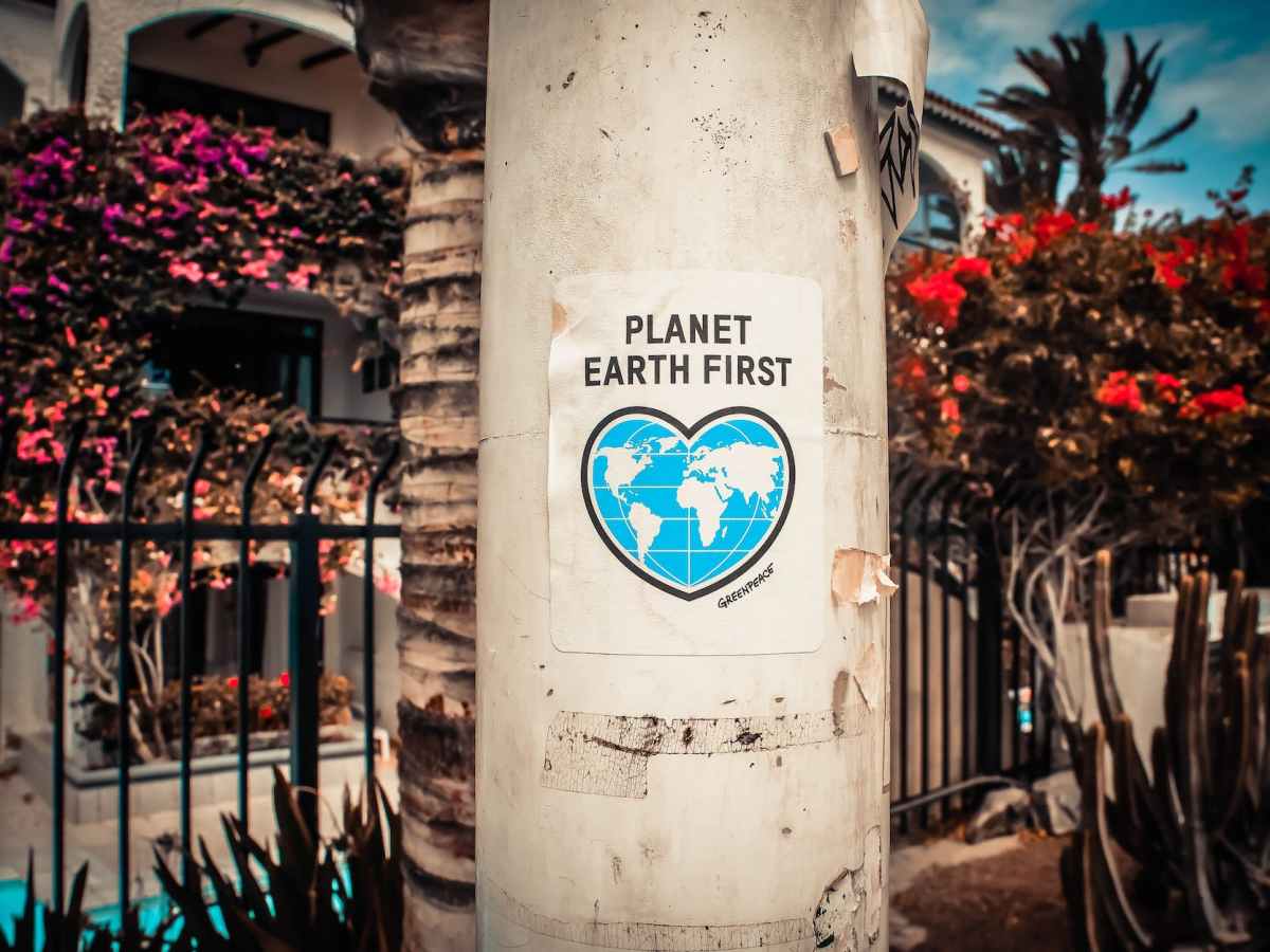 FIVE INEFFECTIVE STYLES OF VEGAN ACTIVISM AND THEIR&nbsp;SOLUTIONS