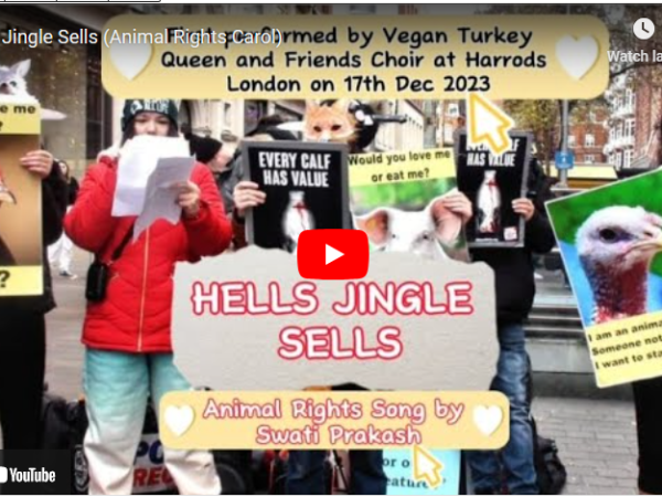 Chrismas Songs and Carols for Animal&nbsp;Rights