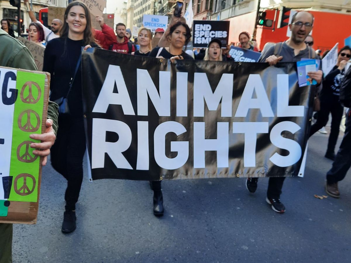 World Vegan Day: National Animal Rights March Held&nbsp;2025