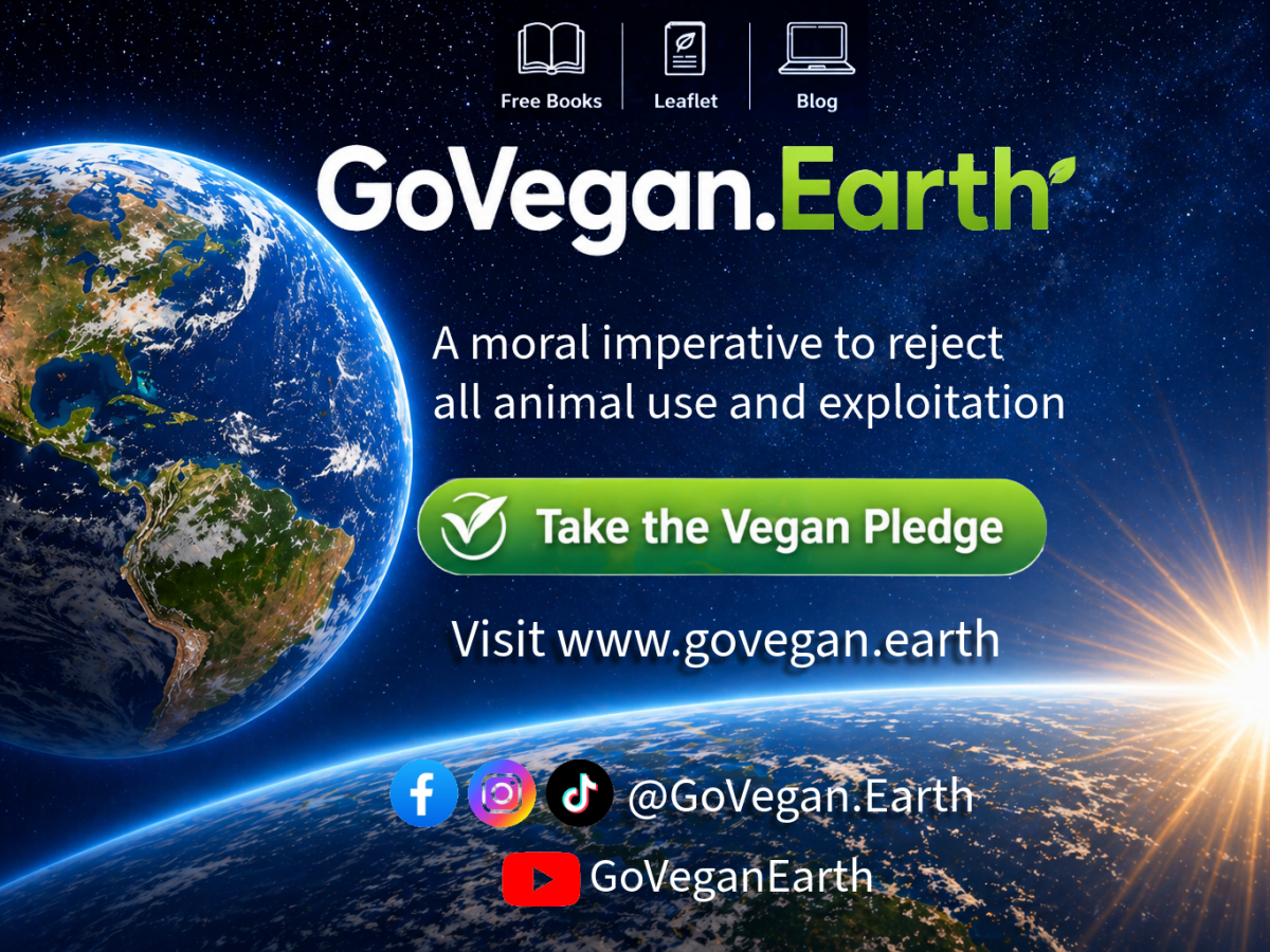 GoVegan.Earth (Our New Website/ Blog&nbsp;url)
